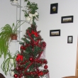 V�noce 2010