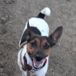 Annie na vych�zce