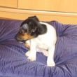 Tady se mnou p�ne�ek prvn� noci spal