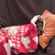 Po koup�n�