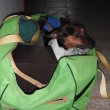 J� chci taky jet s v�mi na chatu