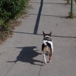 Annie a jej� st�n